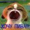 Сувенир *Хочу пива*